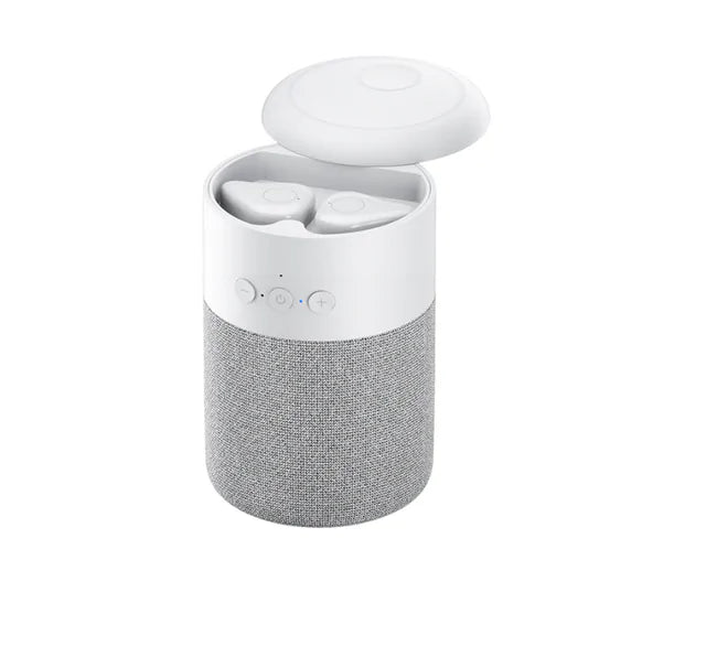 Mini Bluetooth Speaker/Ear Buds