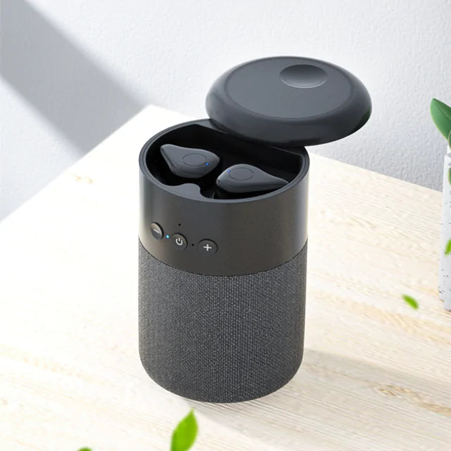 Mini Bluetooth Speaker/Ear Buds